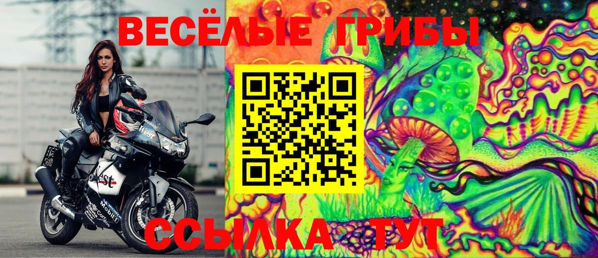 Галлюциногенные грибы MAGIC MUSHROOMS Луга